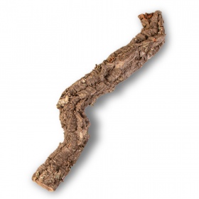 40cm Cork Oak Branch for reptiles